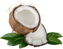 Coconaut Woda Kokosowa z Młodego Kokosa 320ml